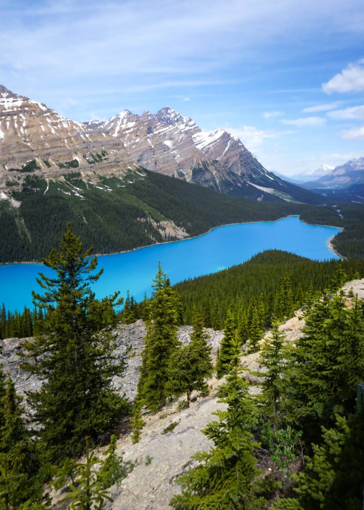 peyto lake alberta
