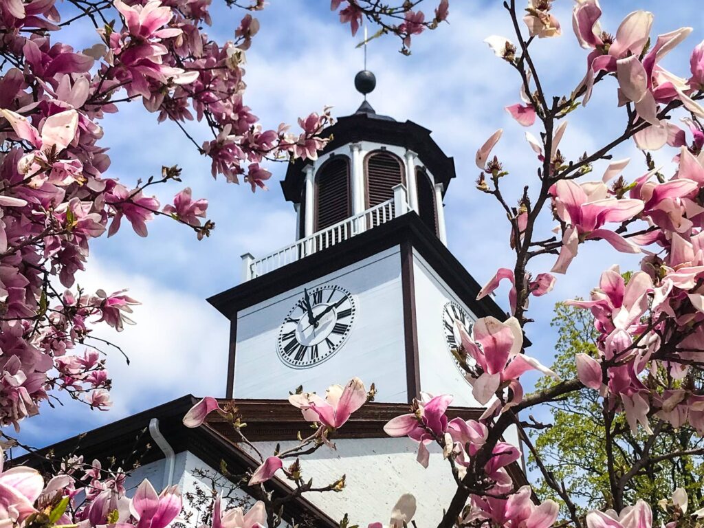 rhinebeck ny clock tower with flowers in the trees