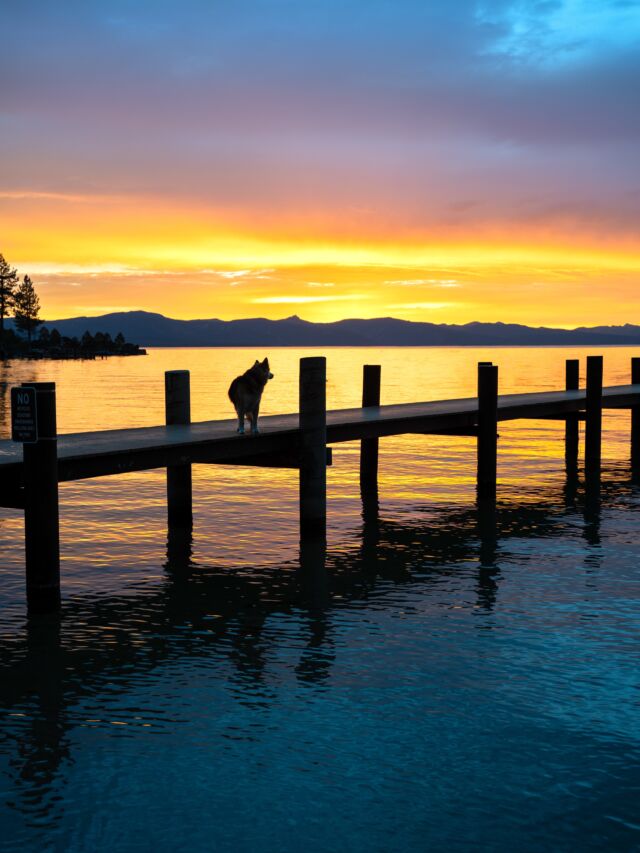 Sunsets from the Nevada side of Lake Tahoe are some of the best that I’ve seen. Started this West Coast trip off with an awesome few days in Tahoe. It’s one of our favorite places, and it was good to be back there with friends old and new. We were also lucky to be catch a few evenings of incredible light over the lake at dusk. These were a few of the photos and videos that I took around sunset. Heading down the California coast from here. #laketahoe #tahoe #california #nevada #sunset