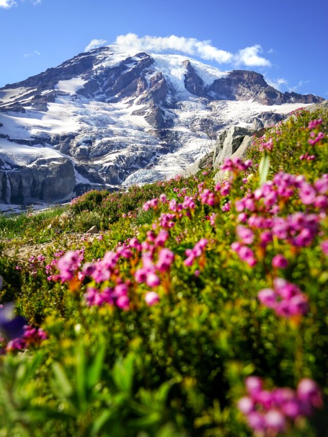 One of the unexpected joys of climbing Mount Rainier was getting to witness a sea of mountain layers from the top. It really gives you a sense of how beautiful this part of Washington State is. Looking forward to going back in a few weeks. #mtrainier #mtrainiernationalpark #pnw #pacificnorthwest #washington