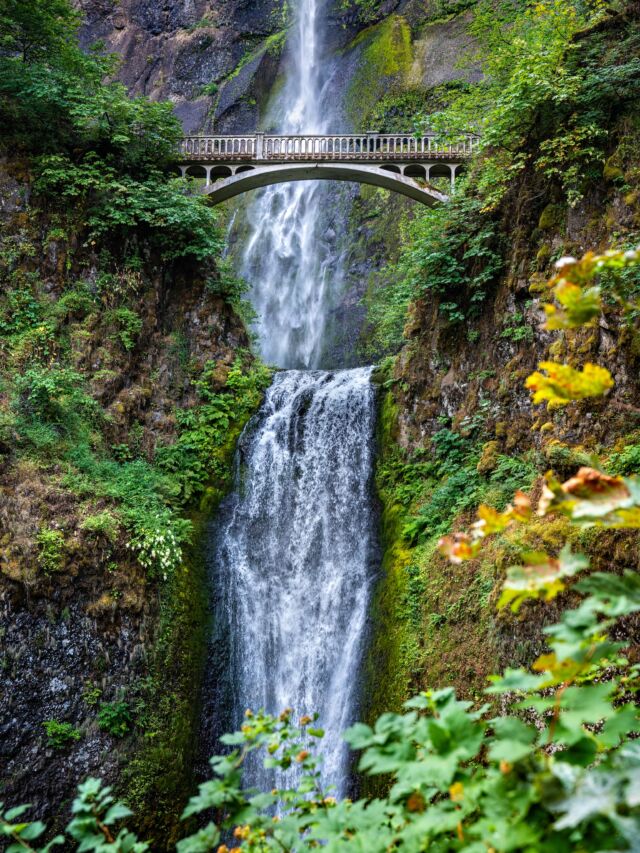 West Coast summer continues. A few shots from this past week on the road. Always amazed by these places. 📸:
1. Multnomah Falls, OR
2. Myrtle Falls, Mount Rainier National Park, WA
3. Big Sur, CA
4. Trillium Lake, OR
5. Hood River, OR It’s been a really special trip—excited to share more in the coming days. #pnw #westcoast #california #oregon #roadtrip